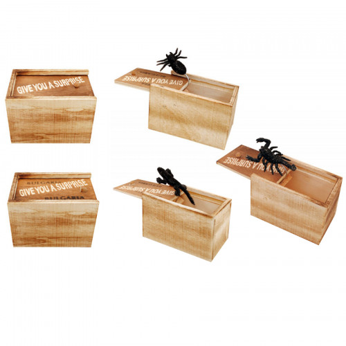 Дървена кутия с насекомо